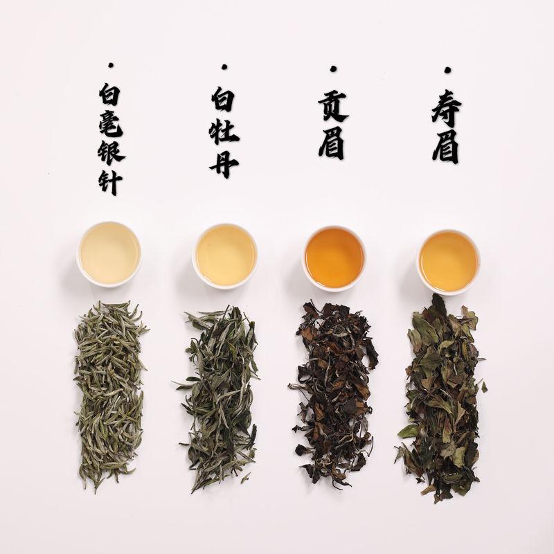 Meet China Famous Tea: Fu Ding White Tea (Sampler) | Teawholesale