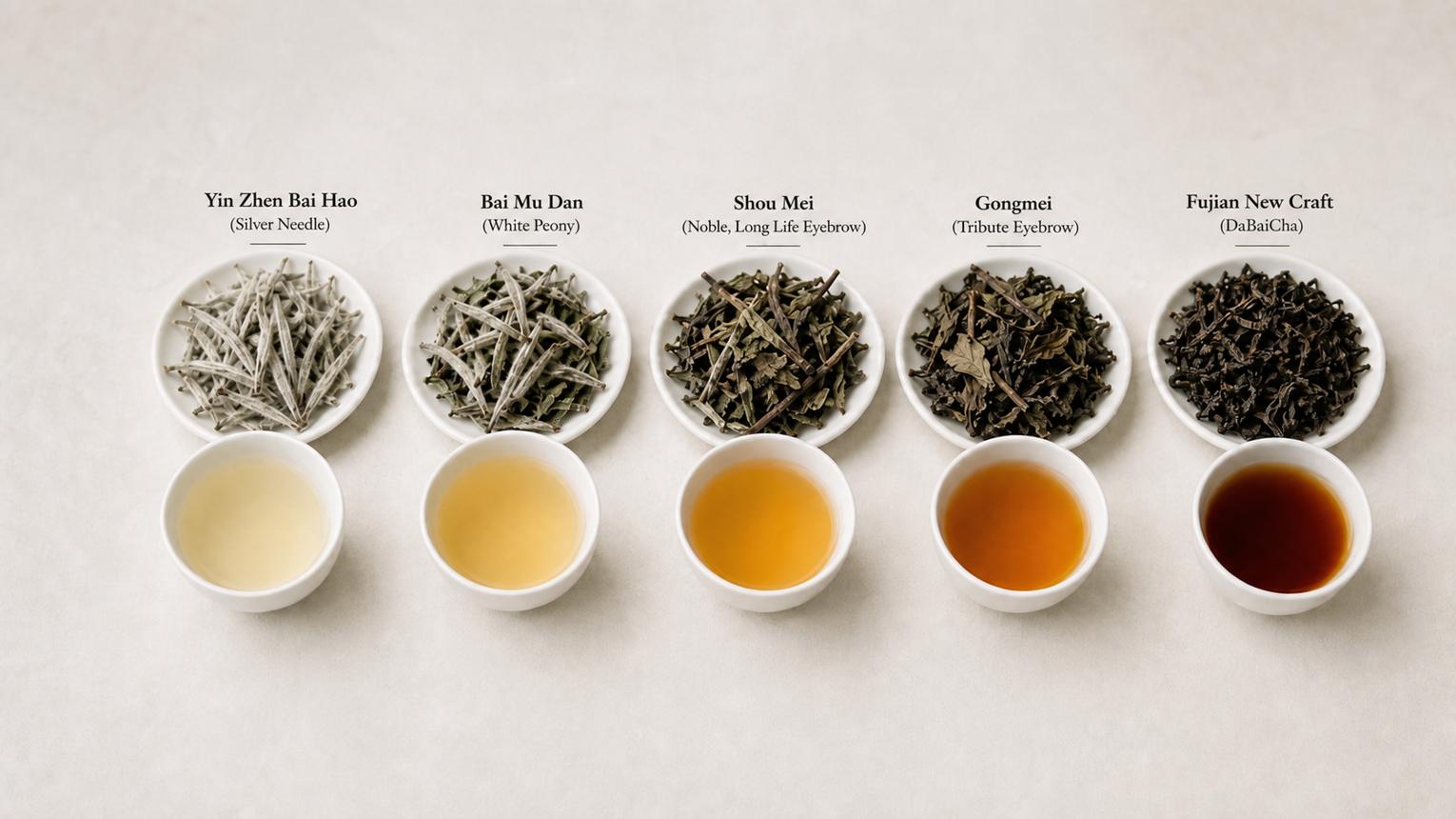 What Is White Tea? Types, Flavor & How to Brew