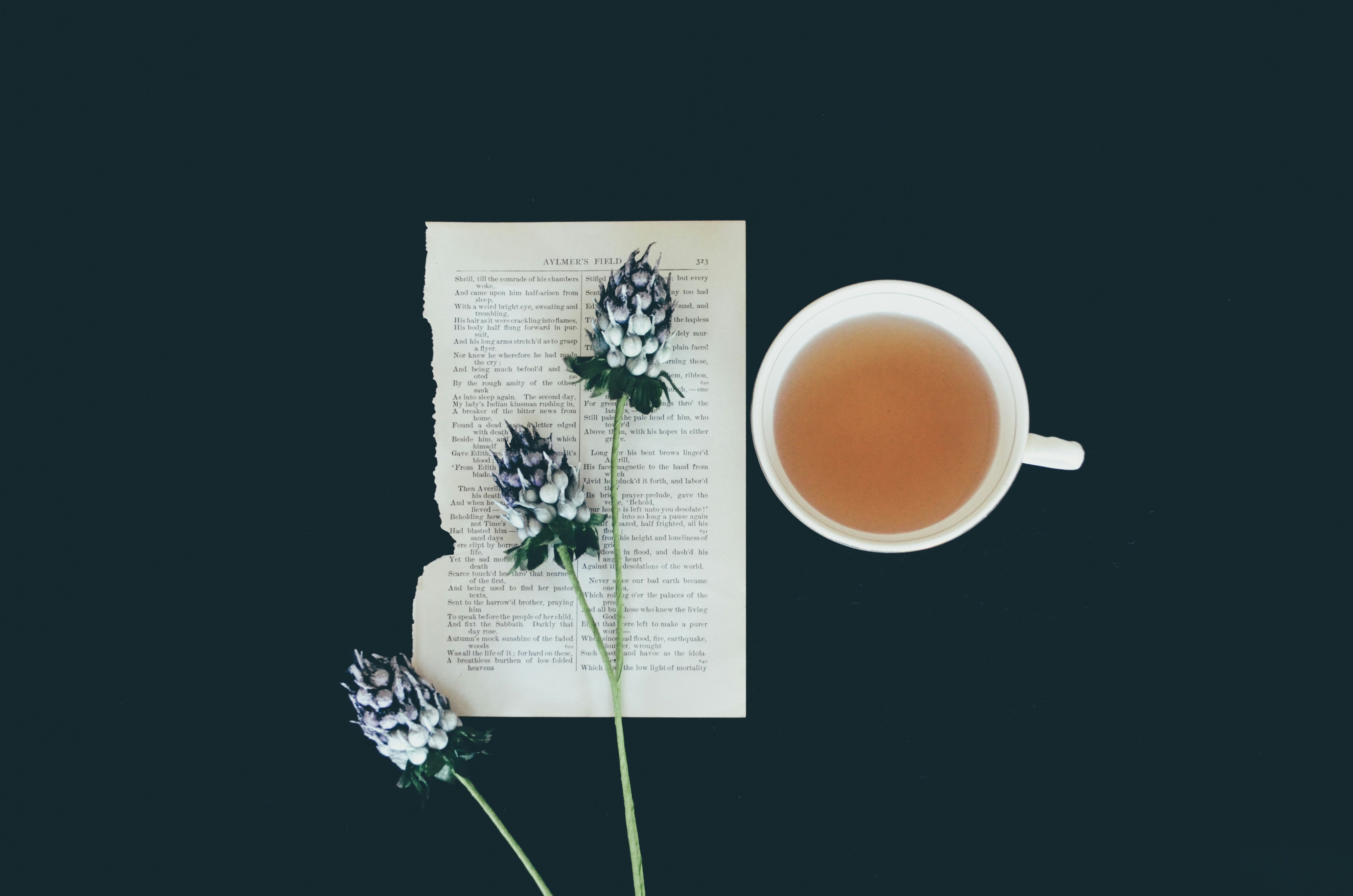 茉莉花茶冲泡图